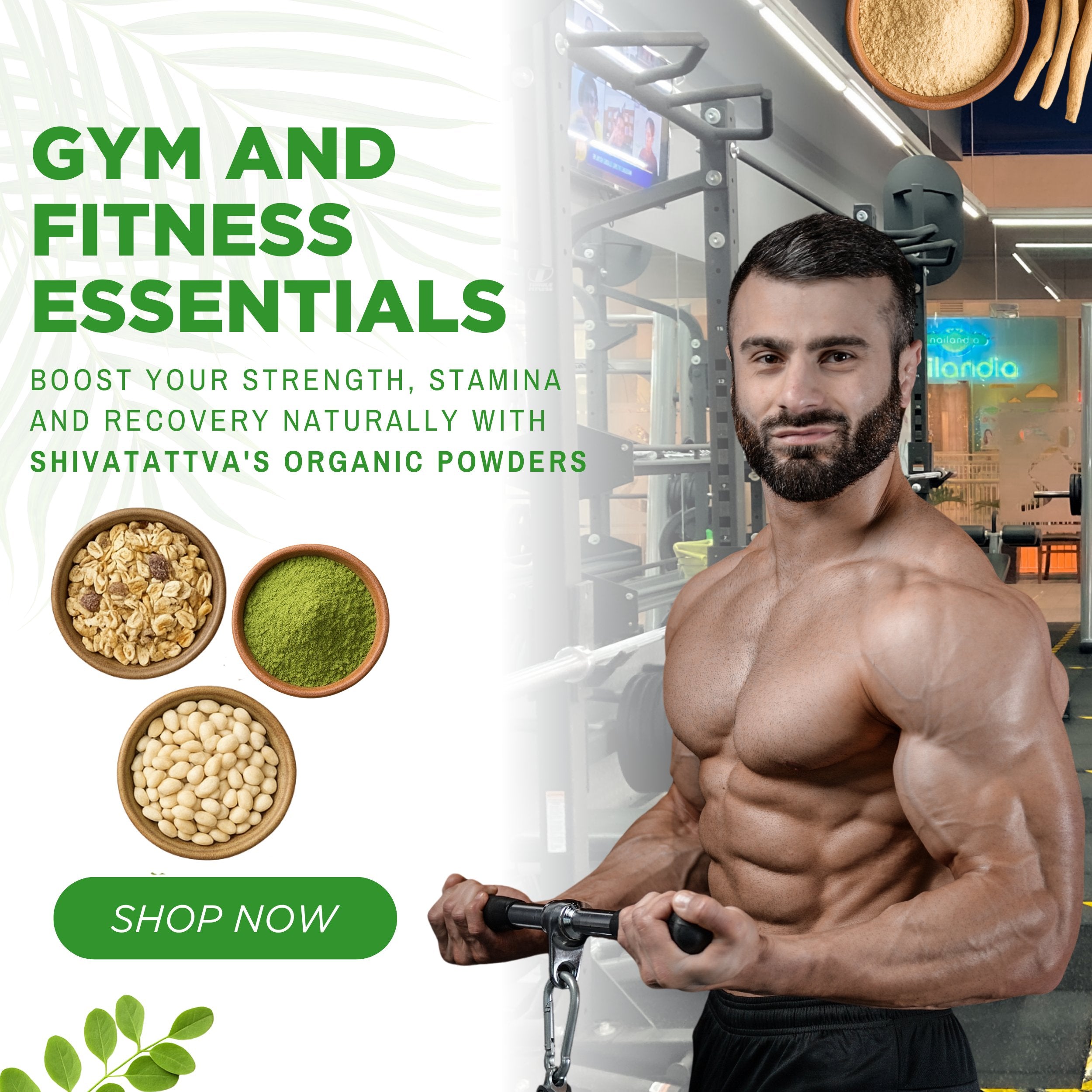Gym-Fitness-Essentials Shivatattva.in