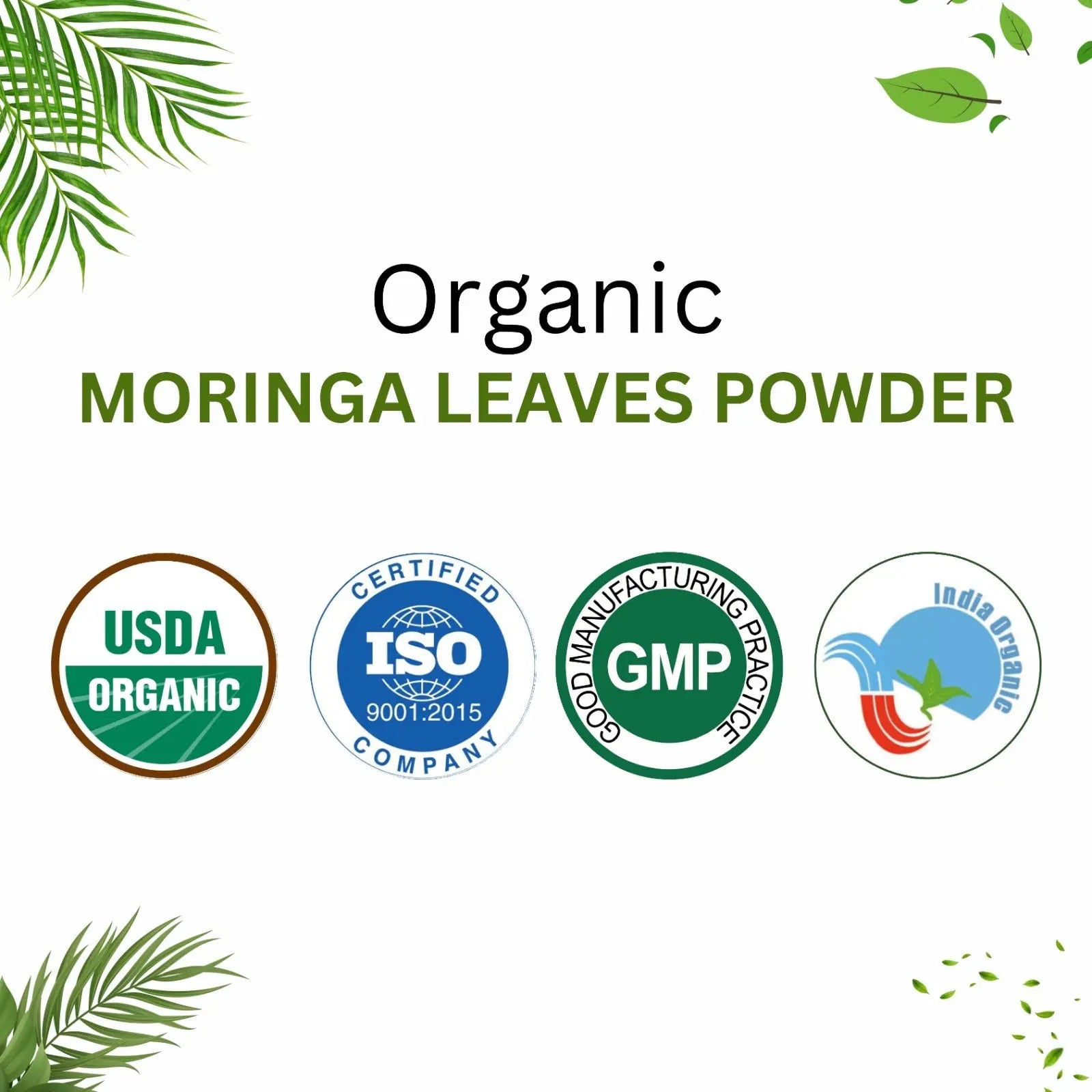 Shivatattva Organic Moringa Leaf Powder | Superfood for Immunity, Energy & Detox (200g)