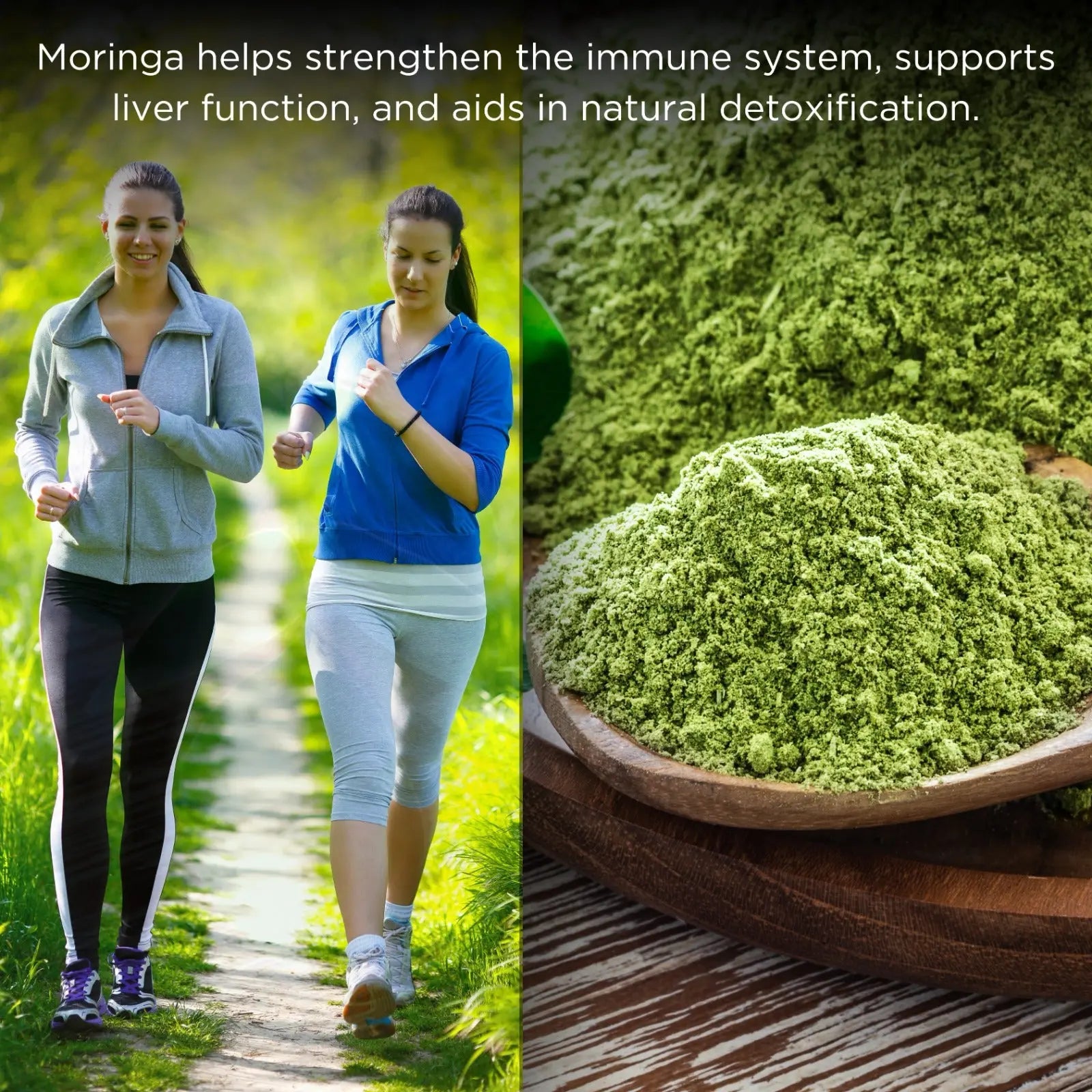 Shivatattva Organic Moringa Leaf Powder | Superfood for Immunity, Energy & Detox (200g)