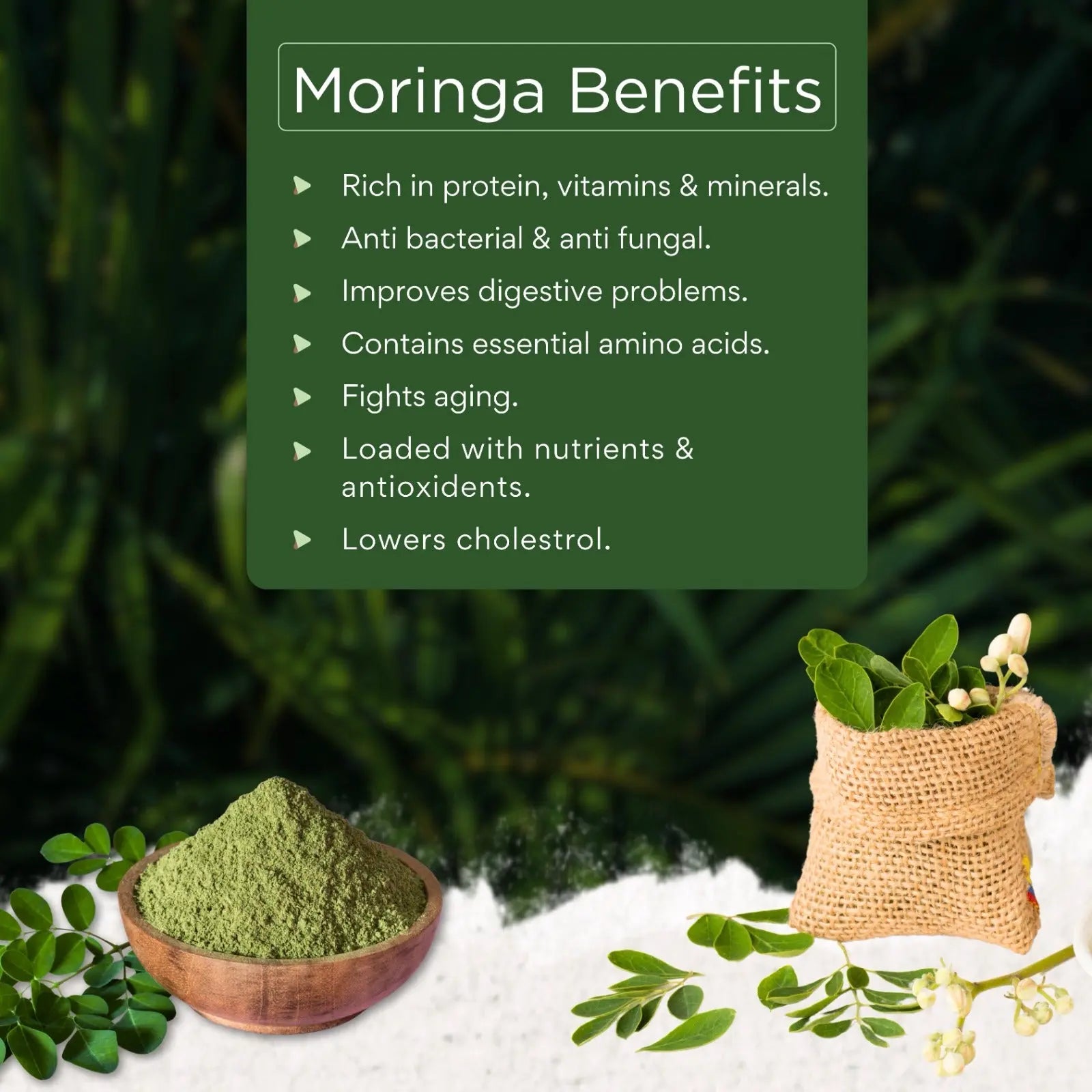 Shivatattva Organic Moringa Leaf Powder | Superfood for Immunity, Energy & Detox (200g)