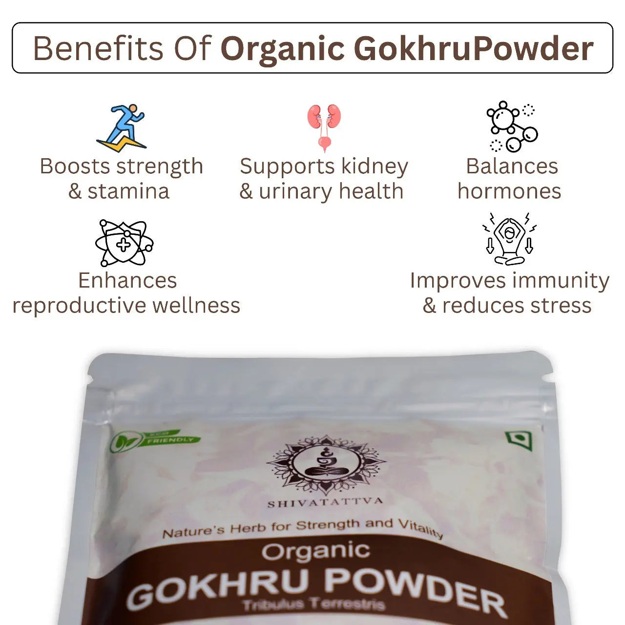 Shivatattva Organic Gokhru Powder 200g – Tribulus terrestris for Testosterone, Kidney & Strength Support Shivatattva.in