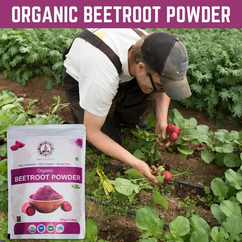 Shivatattva Organic Beetroot Powder | 100% Pure & Natural | Rich in Nitrates, Iron & Antioxidants | For Skin Glow, Stamina & Detox | No Added Color or Preservatives | 200g